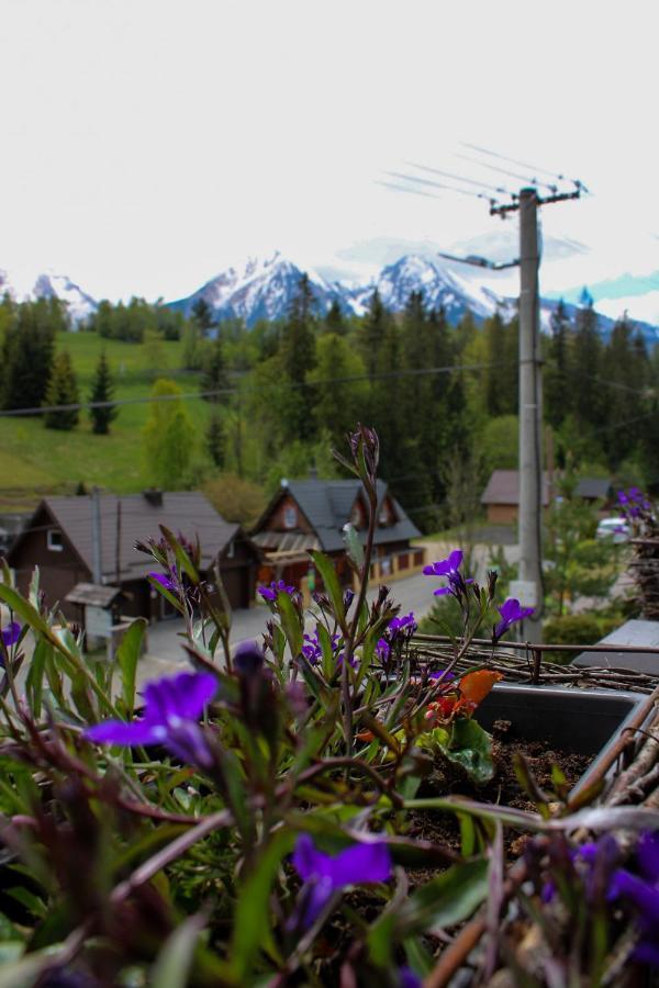 Privat Gazda Pension Zdiar Exterior photo